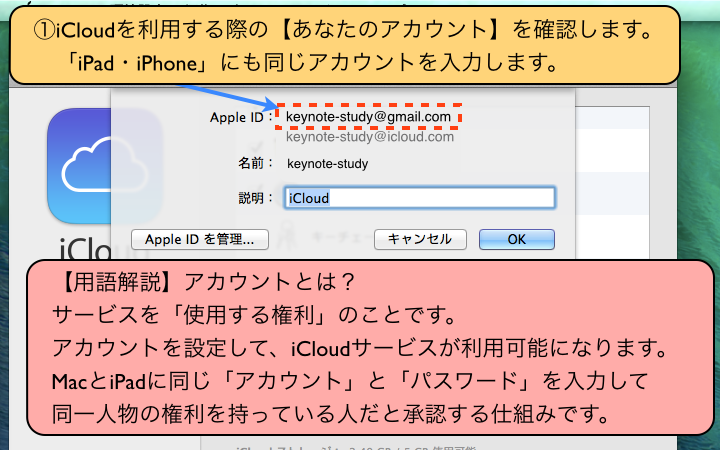 「iPad・iPhone」にも同じアカウントを入力します